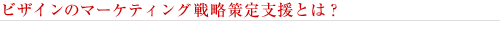�r�U�C���̃}�[�P�e�B���O�헪����x���Ƃ́H