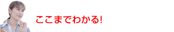 ここまで分かる!!